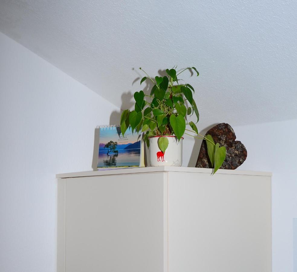Haus Jakob 费尔兹姆斯 外观 照片